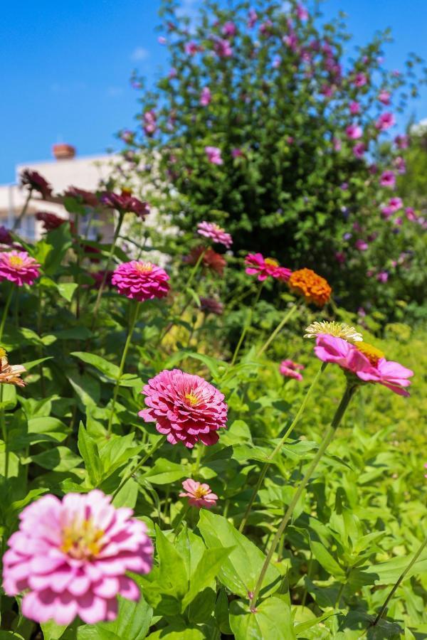 Apartment Garden M&M Дубровник Екстер'єр фото