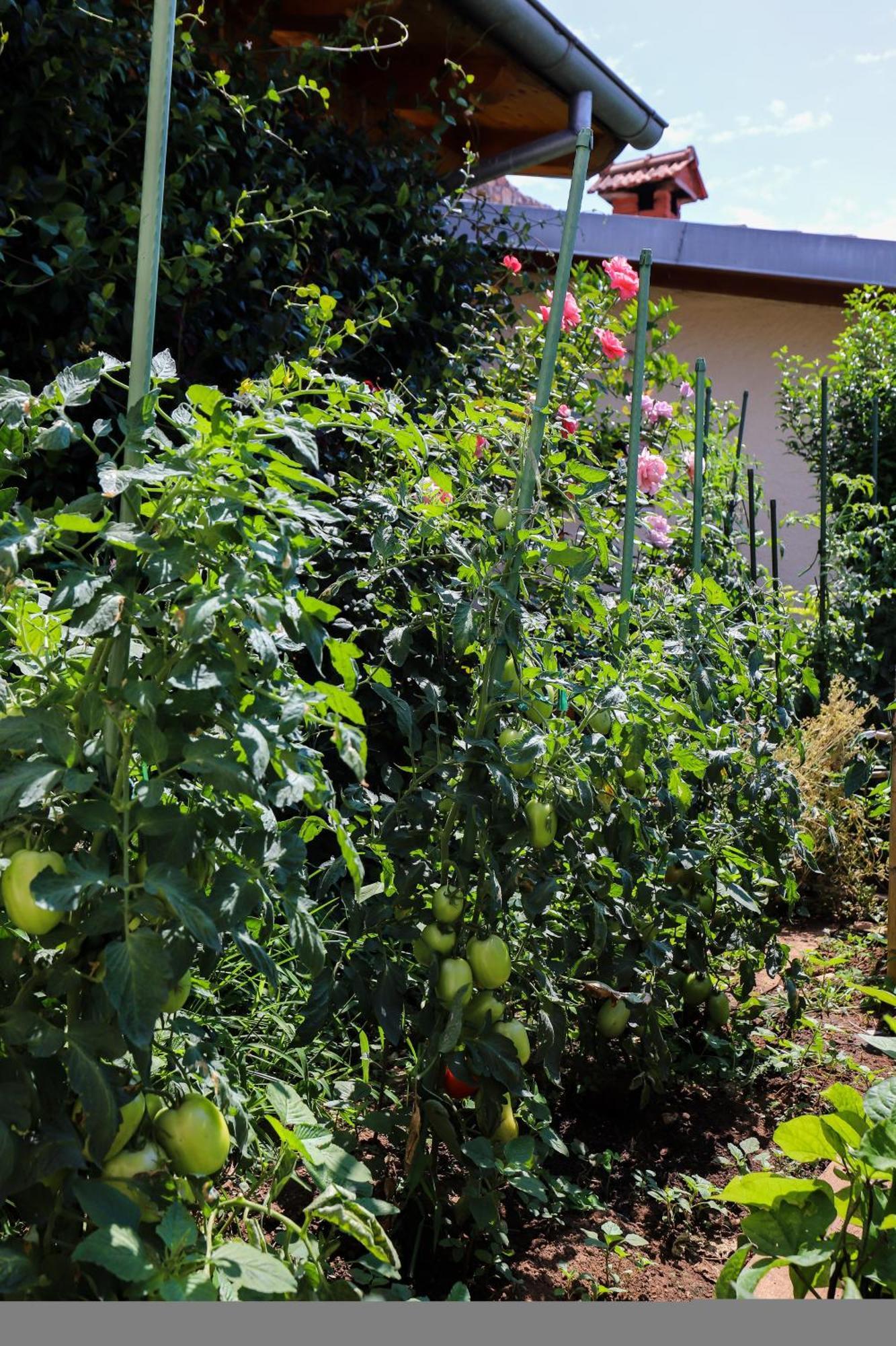 Apartment Garden M&M Дубровник Екстер'єр фото